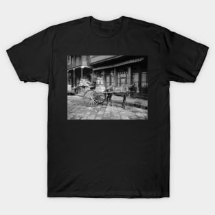 Milk Delivery Cart, 1903. Vintage Photo T-Shirt